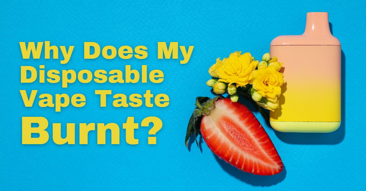 Njoy Pods Taste Burnt Njoy Ace Pods Classic Tobacco 2 Pack Order Online   Apvs Why Does My Vape Taste Burnt & How To Fix It | Vuse CA